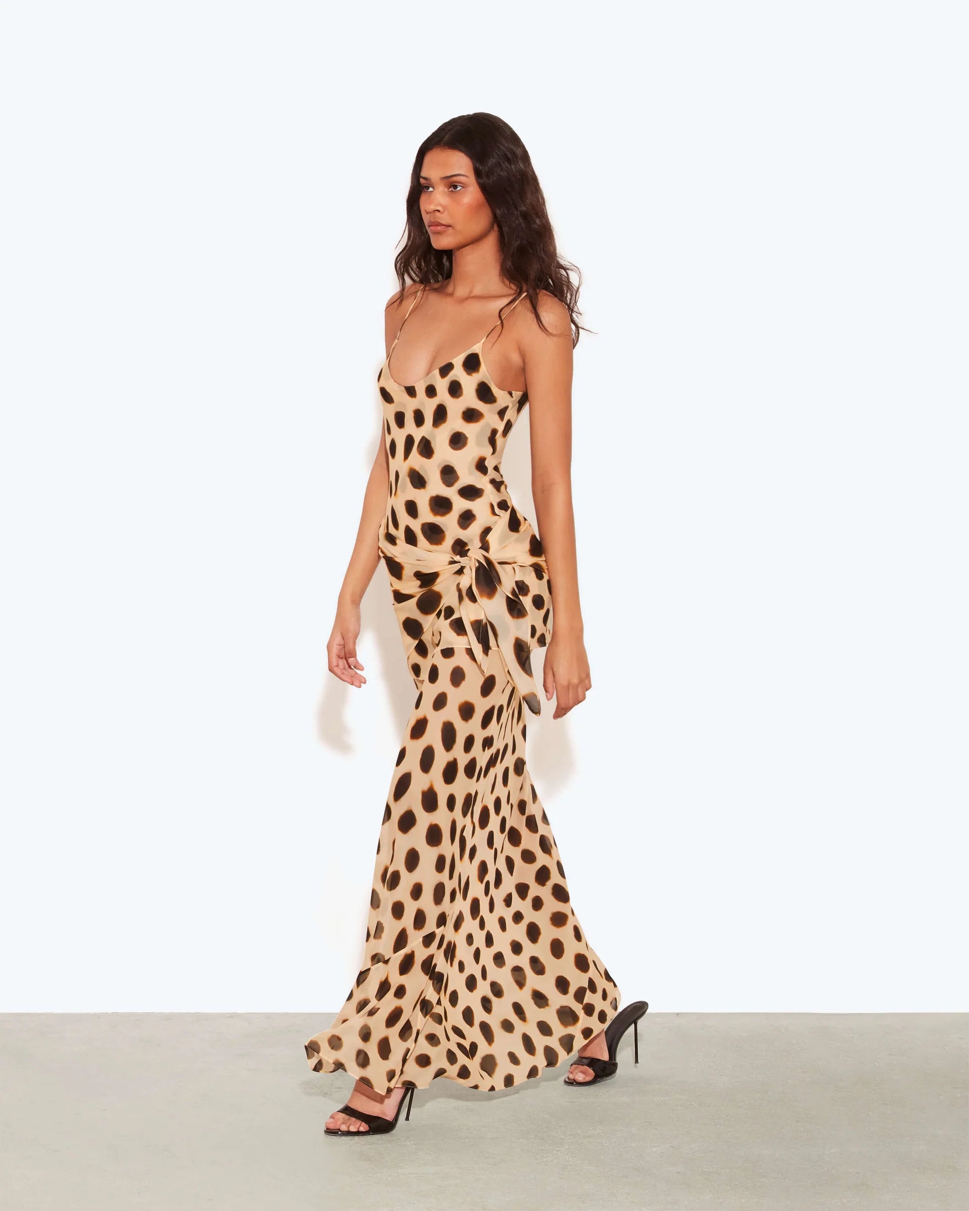 Ozina Dress